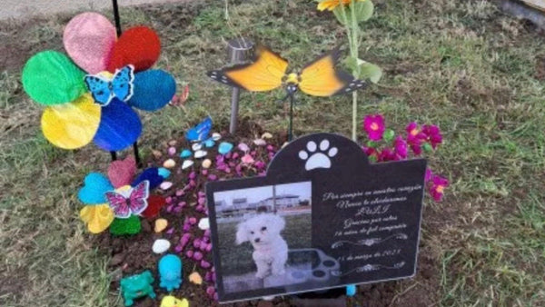 Finding Comfort in Times of Loss: Thoughtful Pet Memorial Gifts
