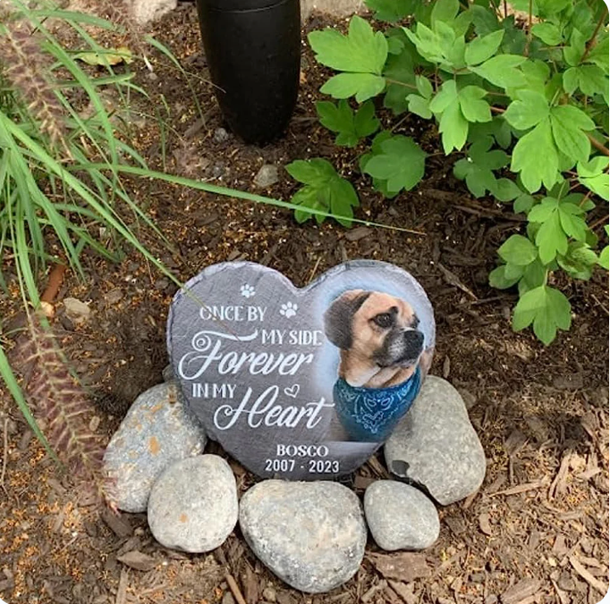 Memory Stone for Dogs