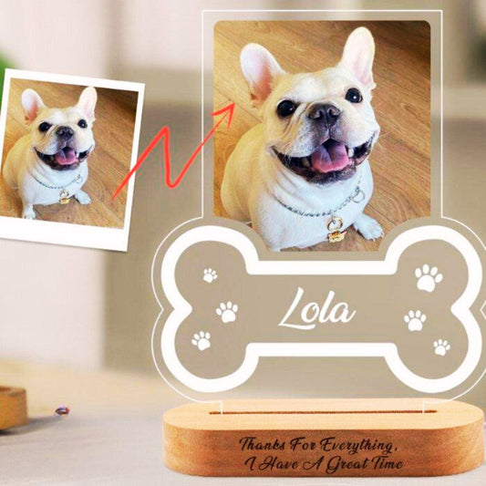 Personalized Dog Memorial Frame With Night Light - furry-angles