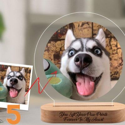 Personalized Dog Memorial Frame With Night Light - furry-angles